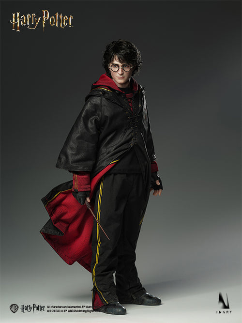 Harry Potter and the Goblet of Fire (2005): Harry Potter 1/6 Collectible Figure