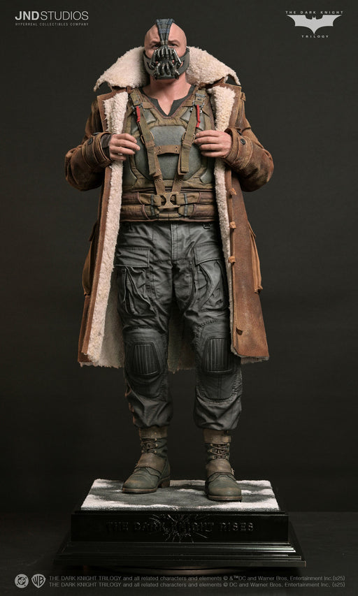 DC The Dark Knight Rises (2012): Bane