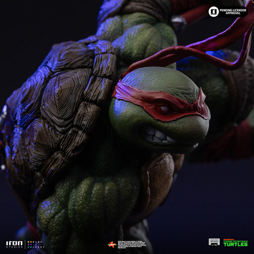 Teenage Mutant Ninja Turtles: Raphael Unleashed