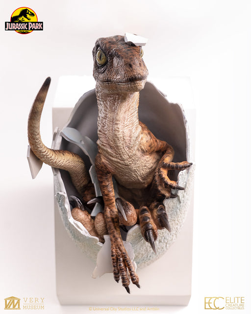 Jurassic Park (1993): Velociraptor Egg Hatching