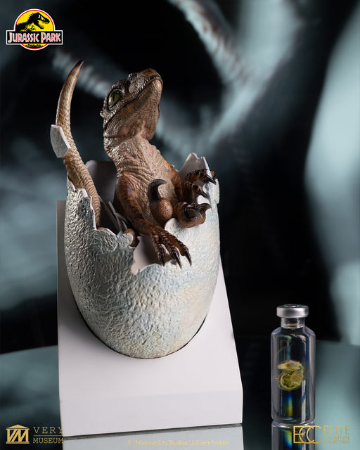Jurassic Park (1993): Velociraptor Egg Hatching