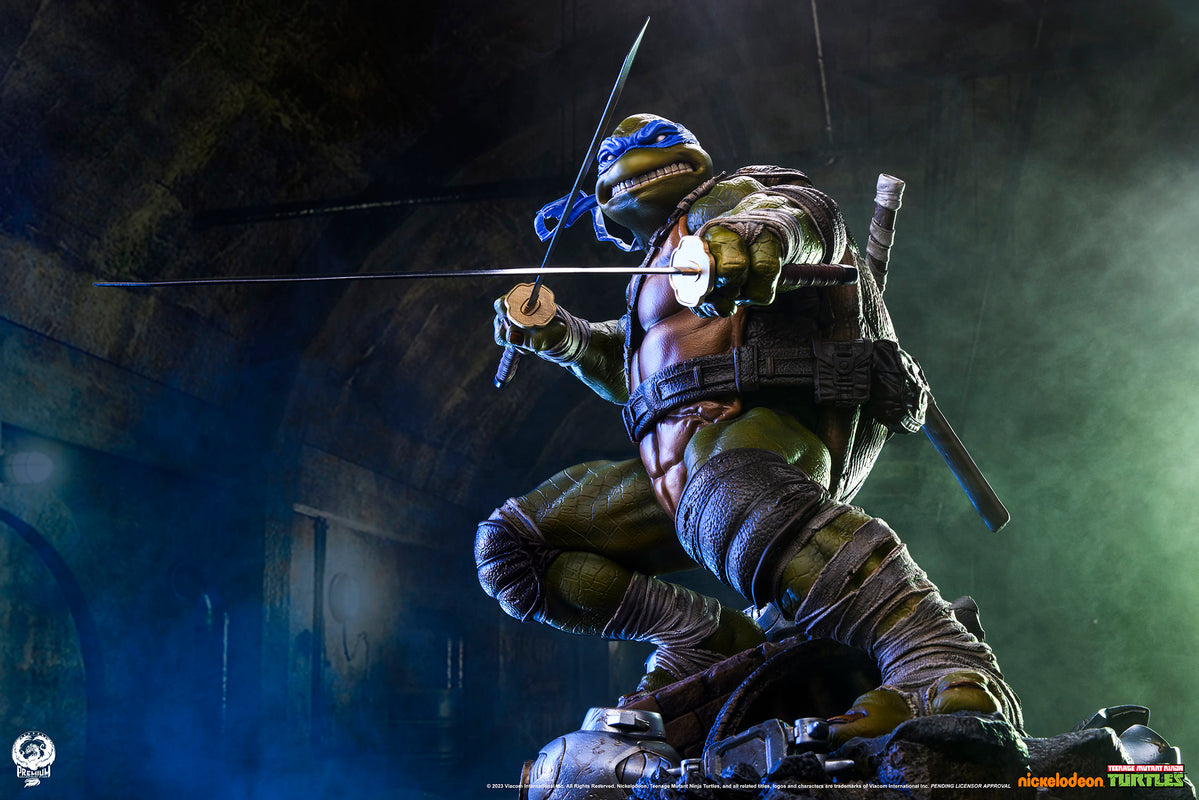 Teenage Mutant Ninja Turtles Legends: Leonardo — Secret Compass