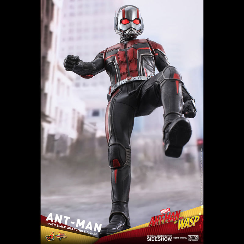 Ant-Man Sixth Scale Figure by Hot Toys