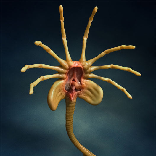 Aliens Facehugger LifeSize Replica — Secret Compass