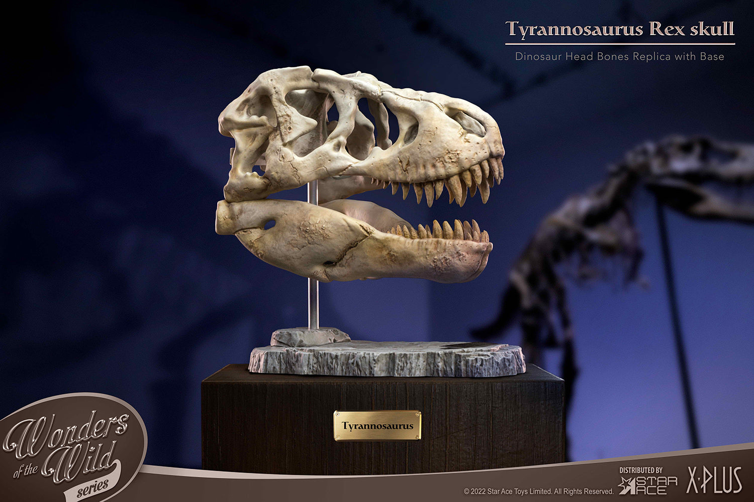 Terminator Rex Skeleton Tyrannosaurus Rex Head Skeleton