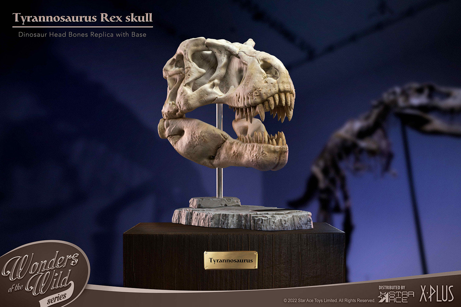 Wonders of the Wild: T-Rex Head Skull — Secret Compass