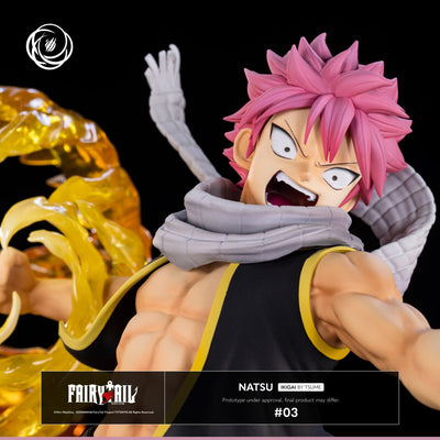 Fairy Tail: Natsu Dragneel Ikigai — Secret Compass